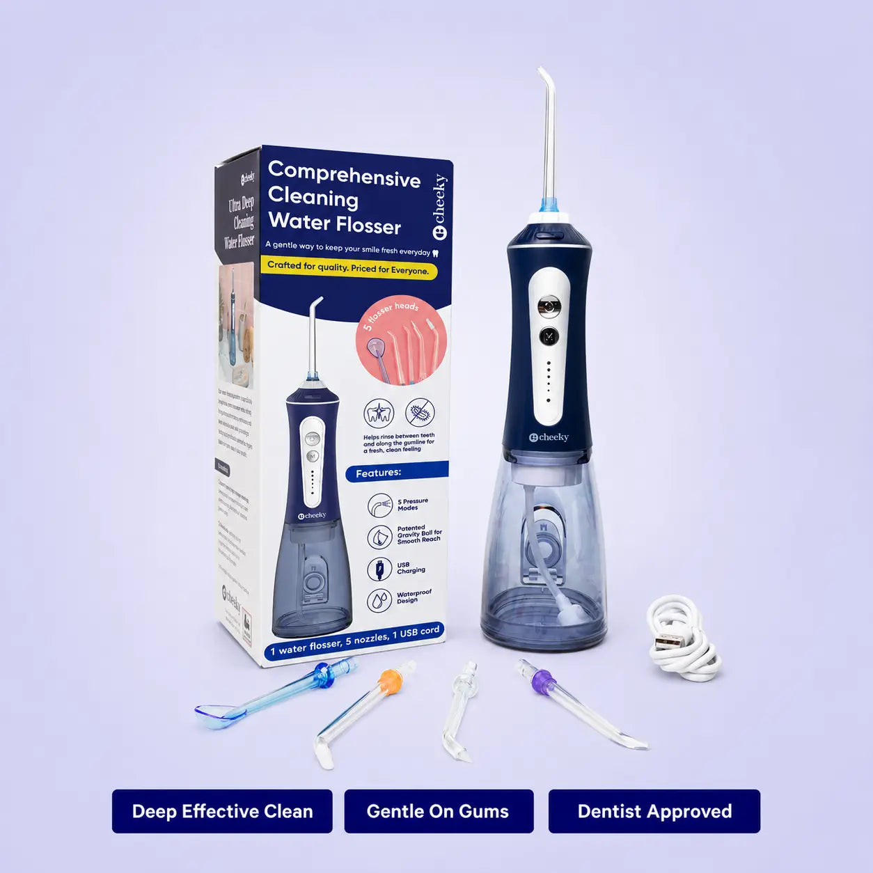 Water flosser